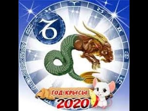 Гороскоп Козерога Крысы На 2024