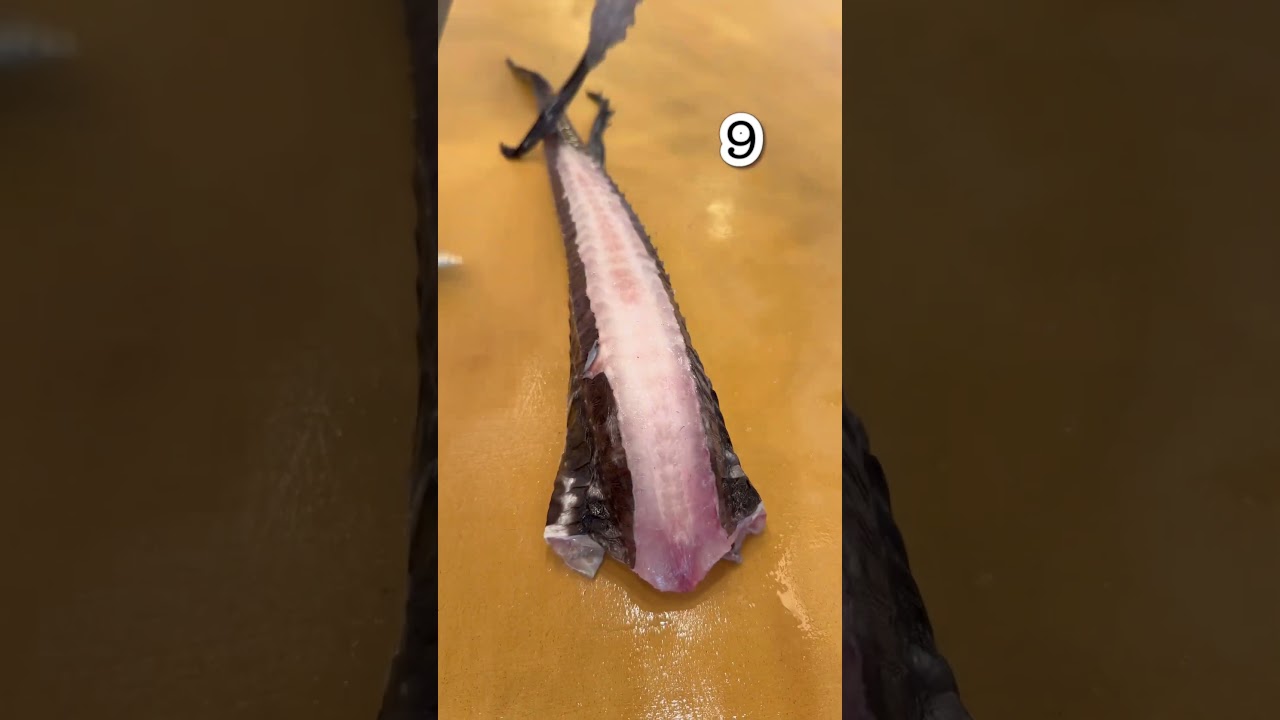 How to cut fish? -Sea robin- 