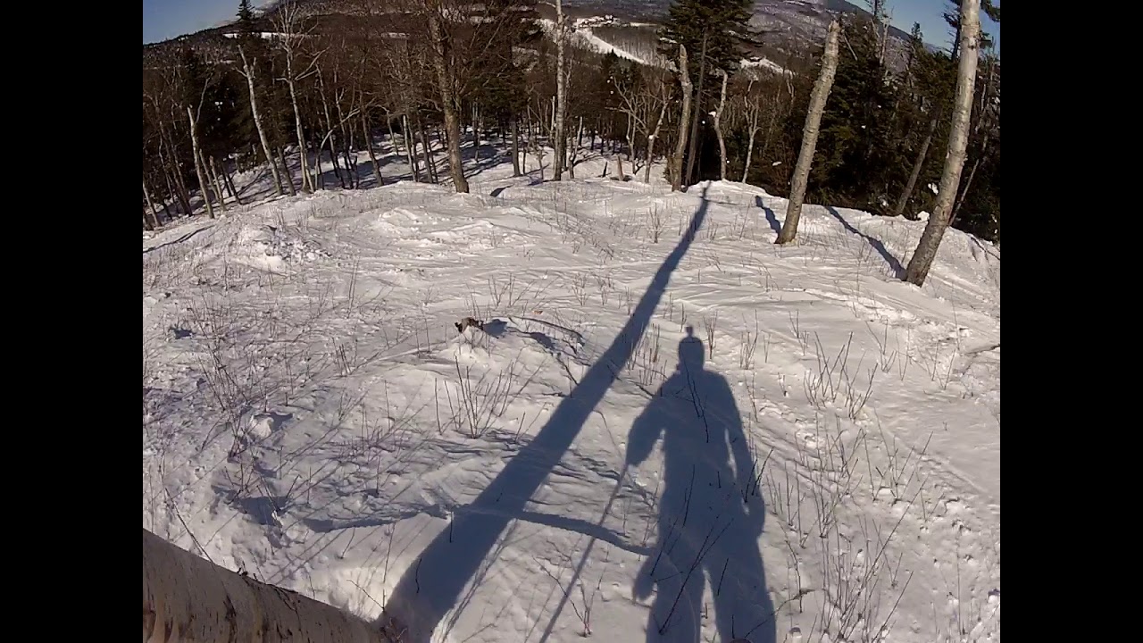 Taking a Run - Flying Monkey - Sunday River (2017)