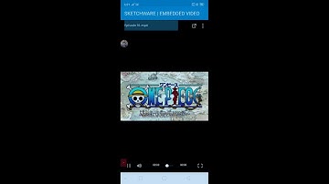 SKETCHWARE | EMBEDDED MEGA VIDEO