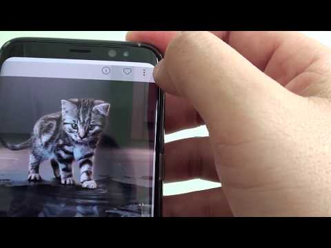 Samsung Galaxy S8: How To Download More Free Background Wallpaper