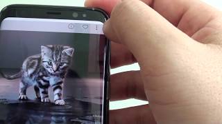 Samsung Galaxy S8: How to Download More Free Background Wallpaper screenshot 3