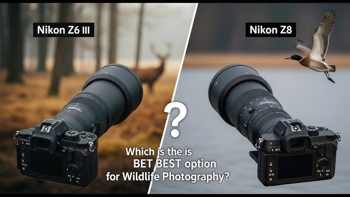 Ergonomics, battery, and handling