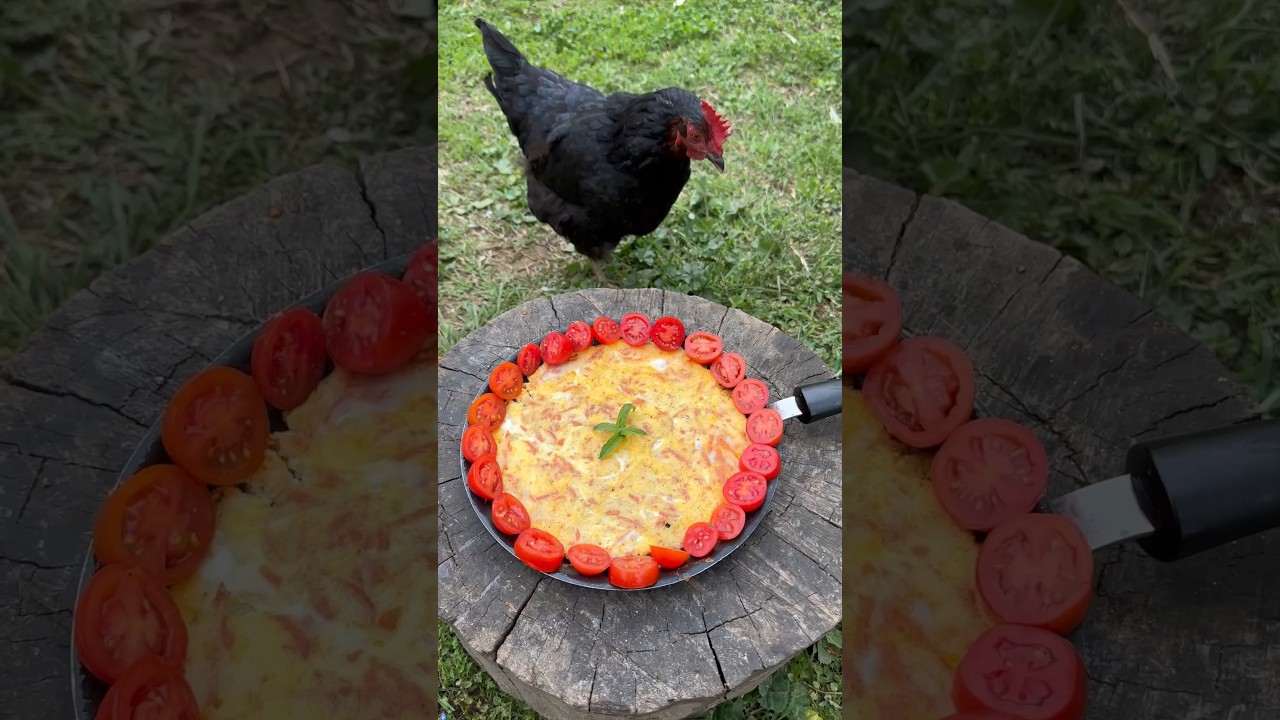 Yumurtalı Kaşar ???? #Yemek #yemektarifleri #tavuk #chicken #food Yumurtalı Kaşar ???? #Yemek #yemektarifleri #tavuk #chicken #food