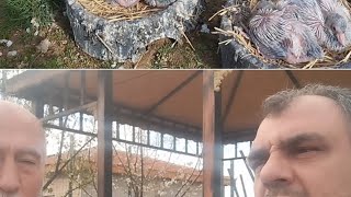 Sevda Büyük Olunca Heyecanımız Bir O Kadar Büyük Oluyor.