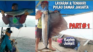 MANCING DI PULAU DAMAR KEPULAUAN SERIBU JAKARTA‼️STRIKE IKAN LAYARAN(SAILFISH) &TENGGIRI (PART # 1)