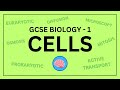 Gcse biology topic 1  cell biology  science revision in under 10 minutes