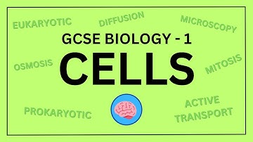 AQA GCSE Biology in 10 Minutes! | Topic 1 - Cell Biology