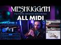 I Remixed MESHUGGAH - Future Breed Machine - Virtual Instruments ONLY
