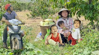 A Traditional Melon With A Refreshing Taste Easy To Eat And Very Popular In Rural Areaslytieunu20