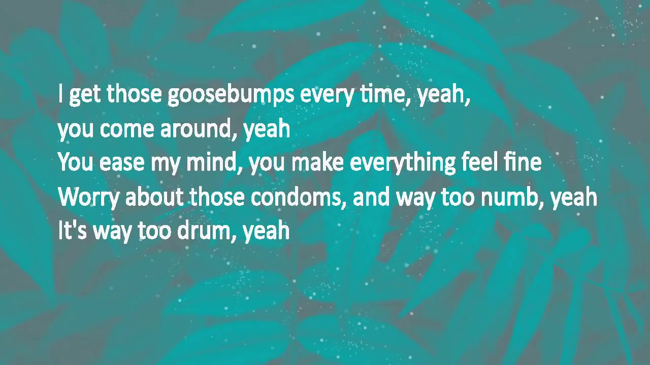 Travis Scott Goosebumps Lyrics YouTube