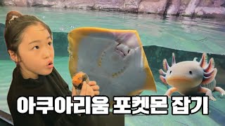 코엑스 아쿠아리움 vs 롯데 아쿠아리움 | 겨울방학 실내 추천 | 포켓몬 좋아하면 여기 추천해✨