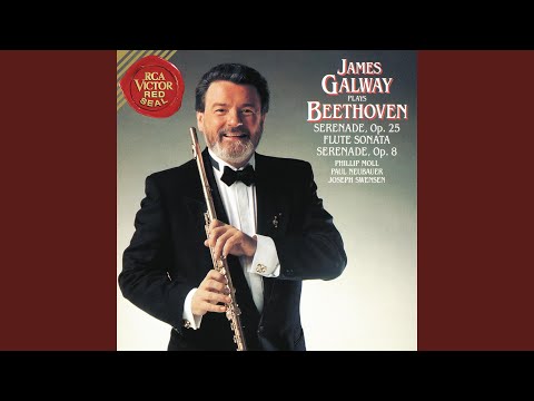 Serenade in D Major, Op. 8: IV. Polonaise - Allegretto alla Polacca