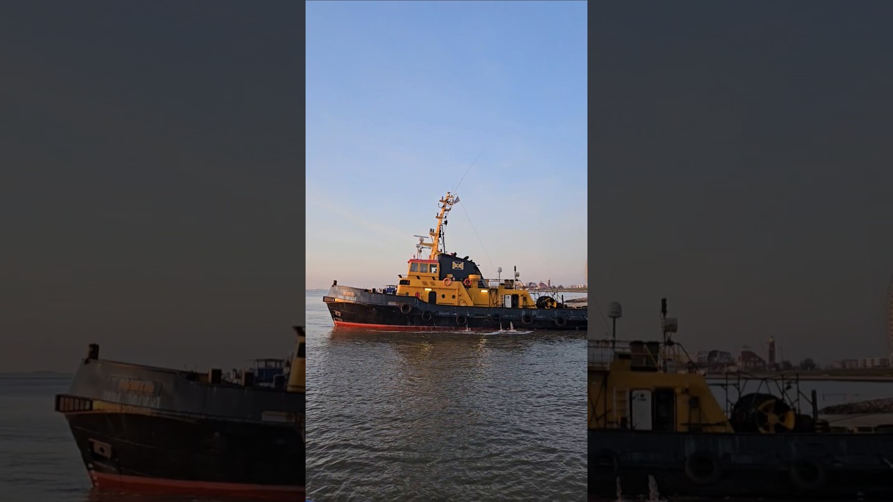 LEVENSAU - SCHLEPPZUG - Bremerhaven 🌊👍😍 