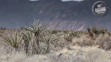 How to set the Sharpness control on your TV