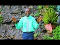Welelech By Olchoro Majimoto Hosanna Choir