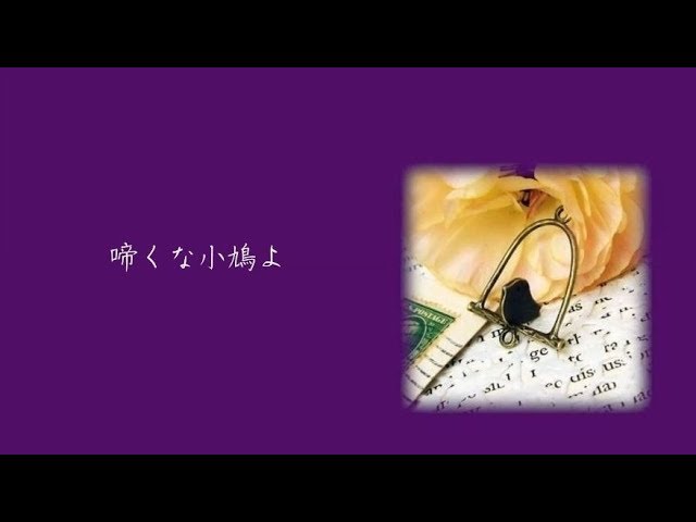 ヴィクトリースパーク ご機嫌ななめな小鳩 啼くな小鳩よ ／ 岡 晴夫 - YouTube