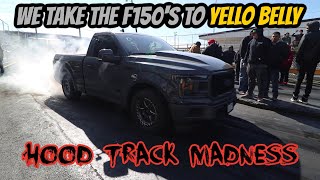 WE TAKE THE F-150'S TO YELLO BELLY