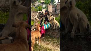 Funniest USA Clips Going Viral Right Now🤣🔥...#bablubaz #funnyanimals #usaanimals#animalhumor #animal