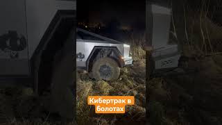 #cybertruck #automobile #tesla #спб #offroad #offroadspb
