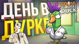 картинка: [Goose Goose Duck] ЛУЧШЕ ЗАБЫТЬ ЭТОТ ДЕНЬ ПОСКОРЕЕ...