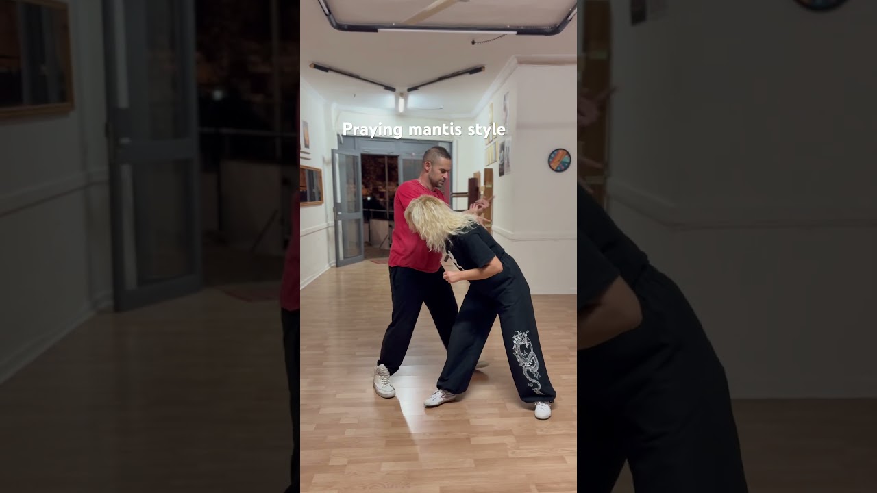 Praying Mantis Kung Fu technique 