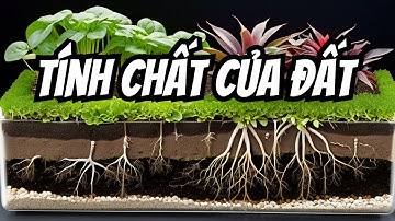 🎬 CROP SCIENCE BÀI 25: KHOA HỌC ĐẤT TẬP 3 |TÍNH CHẤT CỦA ĐẤT. #khoahoccaytrong #soil #farming