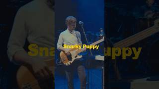 GROUNDUP FEST x REALM26 🎤 BTS + entrevistas con Snarky Puppy / Patrice Rushen y más