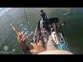 Great white shark jumps right next to kayaker
