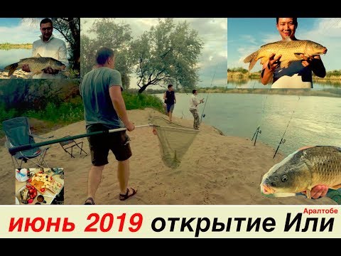 рыбалка 2019 река Или, клёвое открытие сезона, природа радует в Аралтобе!