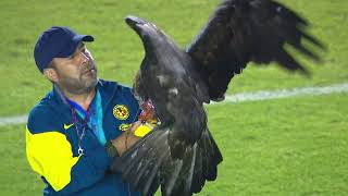 Venom El Último Baile L Club América