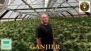 Episode 94 Ft Kevin Jodrey of Wonderland Nursery / Ganjier - 01/02/24 - The Pot Cast