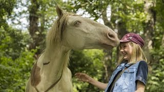 WENDY - DER FILM - TV-Spot 'Taufe' 20'- Ab 26.1.2017 im Kino!