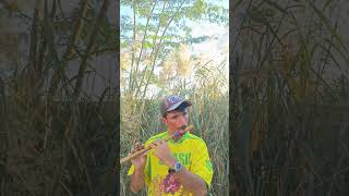 Chand Chhupa Badal Mein Flute Cover youtube song  foryou