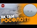 У Криму потужний ШТОРМ наробив КЛОПОТУ ОКУПАНТАМ! Чорноморський флот під загрозою і в Новоросійську