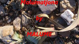 Malume Malumatsona