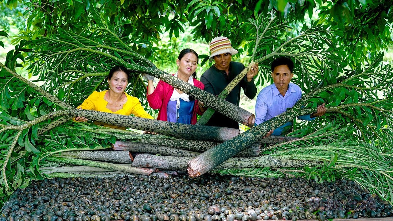 Technique Skill Cooking Red Snail with Elephant Yam Without Itch - Secret Methods Food in Village