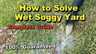 How to Dry Out Wet Soggy Yard  100% Guaranteed