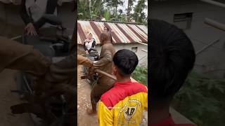 Kuda lumping cari sasaran targetnya‼️seni benjang mekar budaya