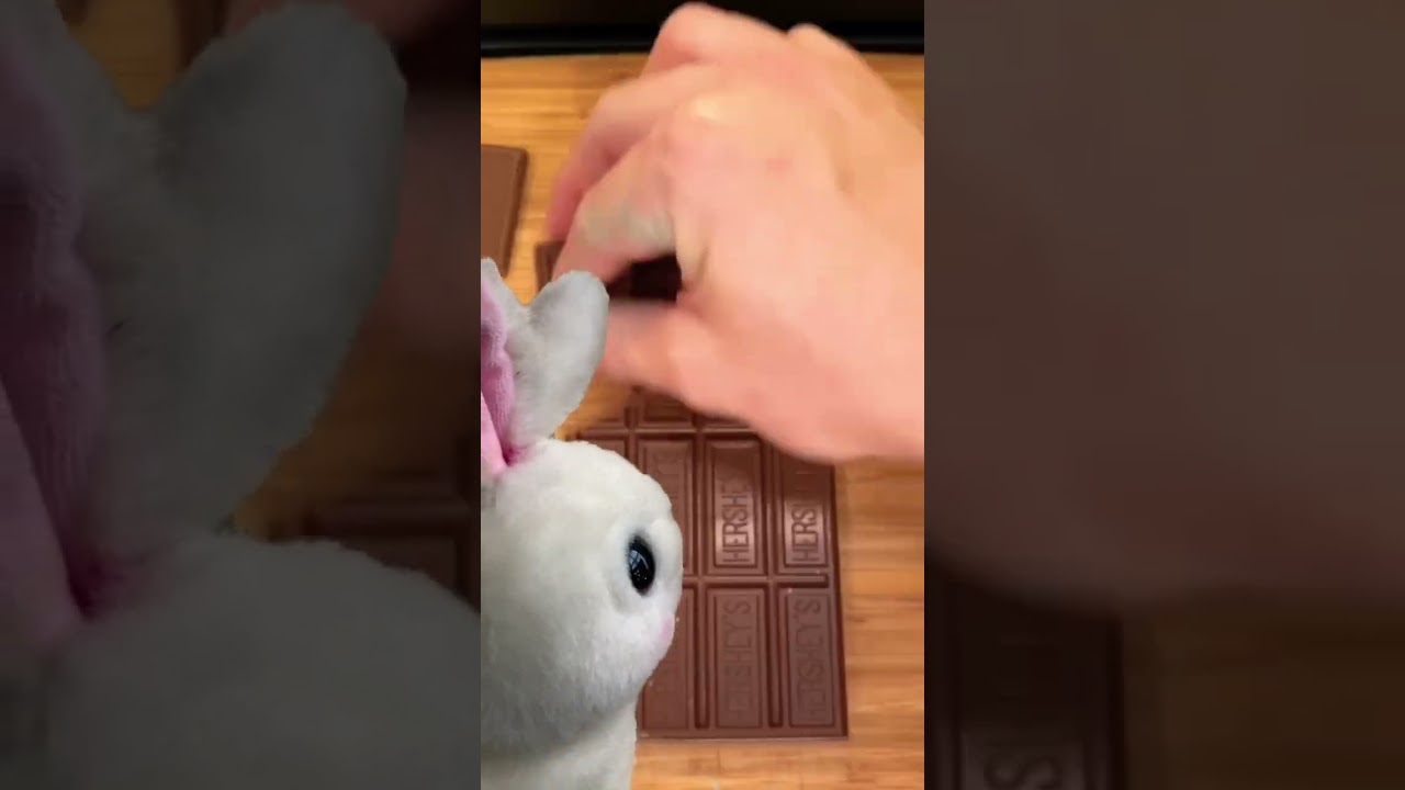 Unlimited chocolate 🍫 