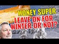 Beekeeping | Should You Leave A Honey Super On For Winter?