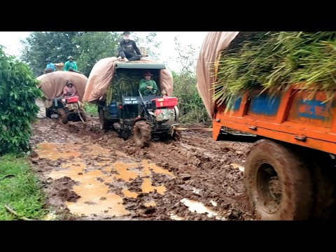 Video một chiếc xe máy cày kéo 2 xe công nông chở lúa chạy... - youtube