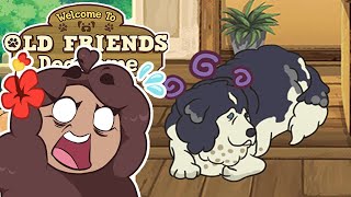 RESCUING an Injured Old Stray Dog?! 🐶🌿 Old Friends Dog Game • #7 screenshot 4