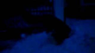 MOV01416.3GP