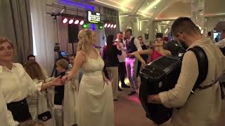 Babaroga Bend Novi Sad - Svadba Uživo Sremčica 2022.