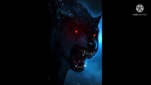 first video. plz don