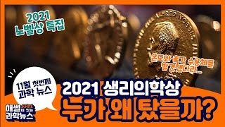 [해SSUL이 있는 과학뉴스] 2021 노벨 생리의학상