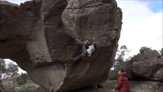 ammagamma V13 grampians