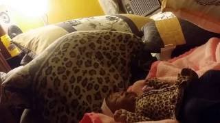 Silicone Baby Cintea Bloopers