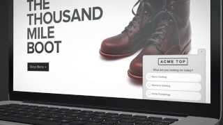 Qualaroo Insights for Smarter A/B Testing Net Worth